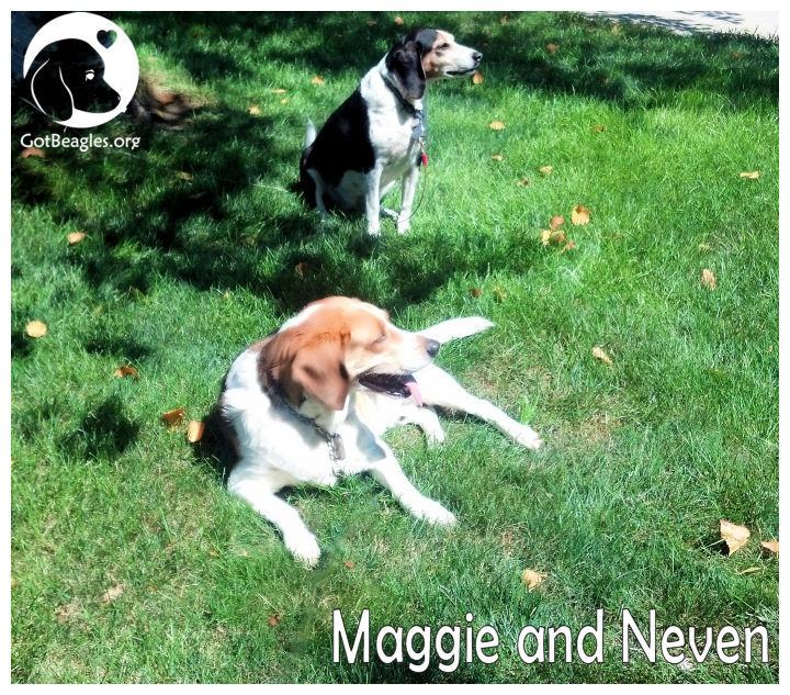 Neven teaches Maggie the ropes 	